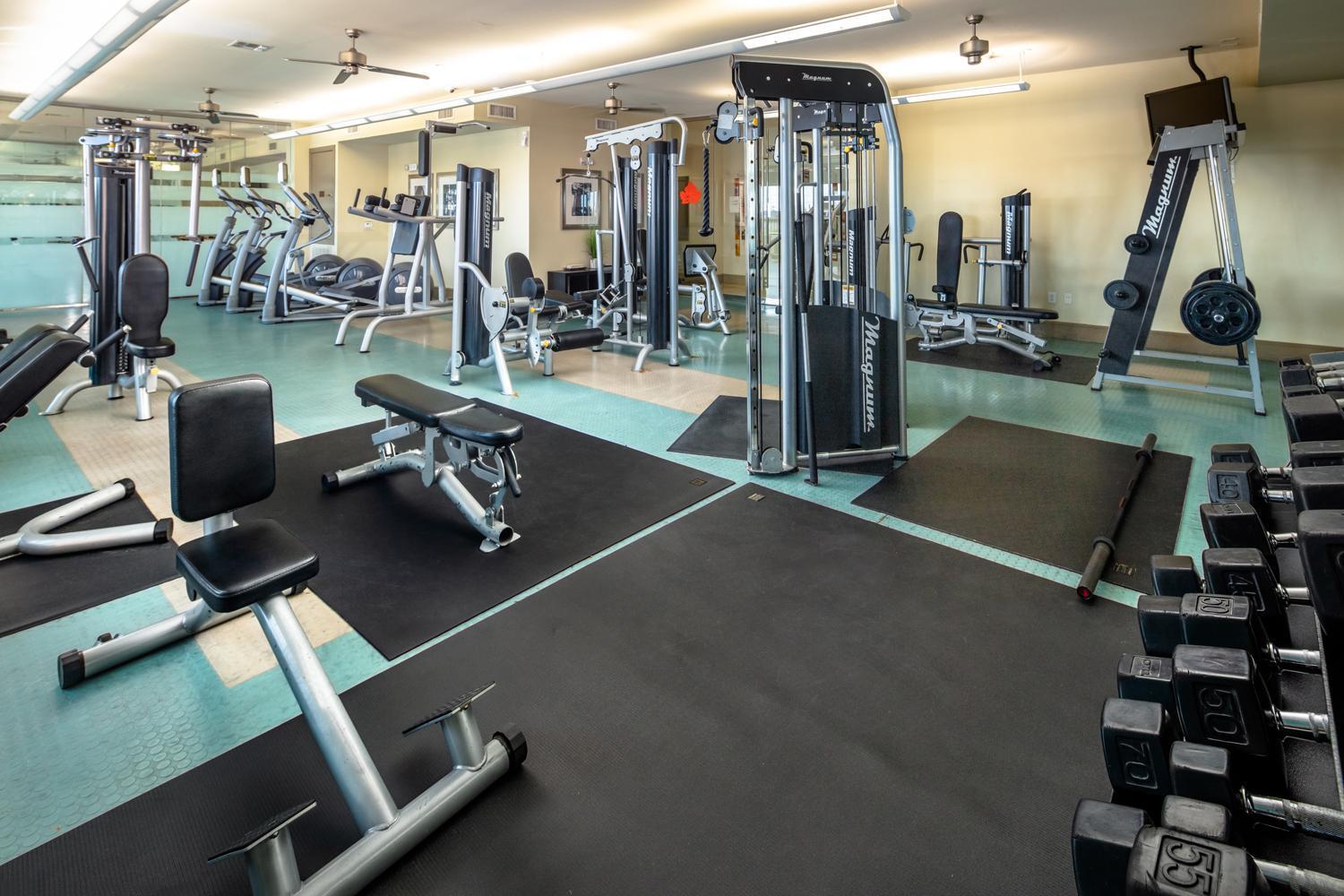 Gorgeous Furnished Apartments Near Texas Medical Center & Nrg Stadium Houston Bagian luar foto